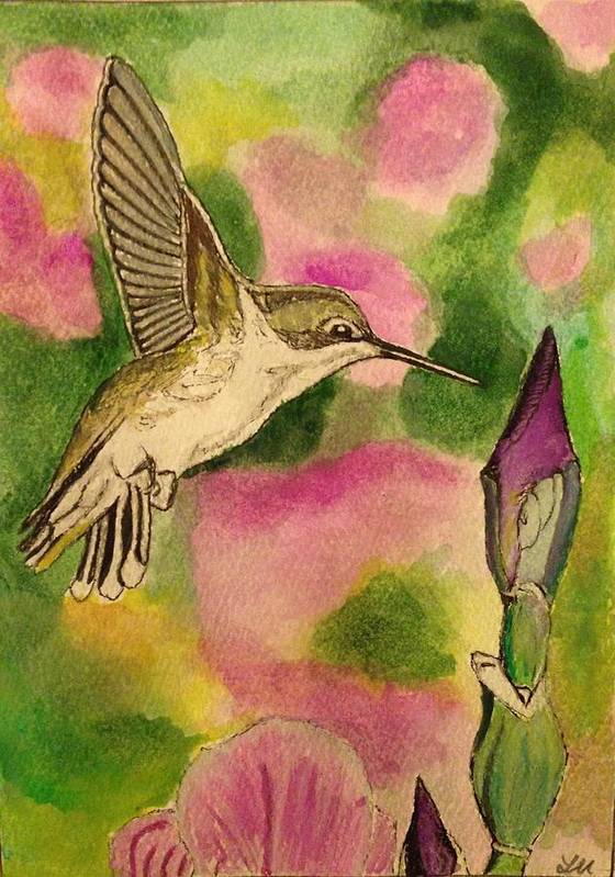 Hummingbird with Purple Flowers - Art Print