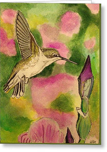 Hummingbird With Purple Flowers - Greeting Card